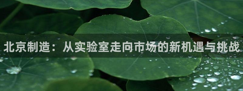 cq9电子免费体验：北京制造：从实验室走向市场的新机遇与挑战