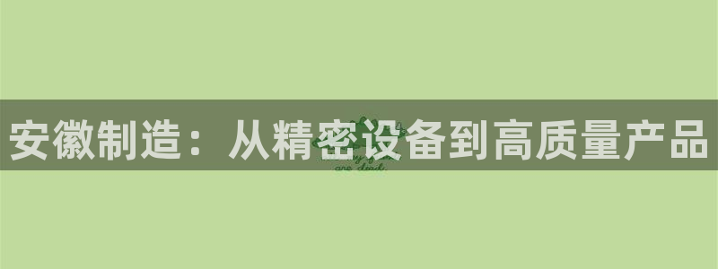 cq9电子弹跳：安徽制造：从精密设备到高质量产品
