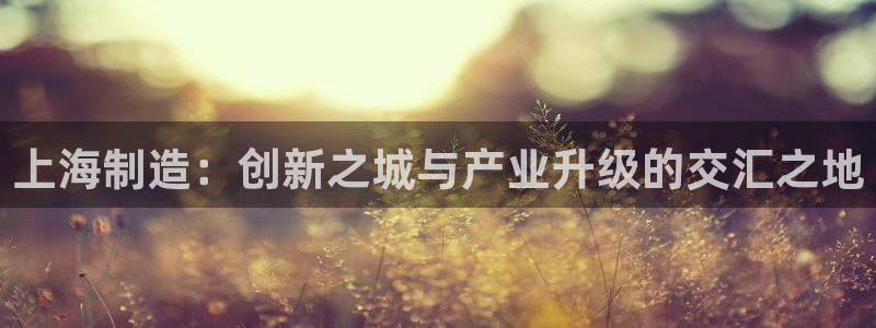 cq9电子爆发视频：上海制造：创新之城与产业升级的交汇之地