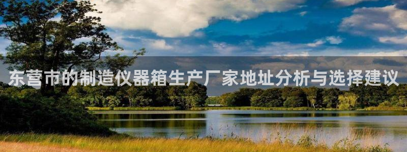 cq9电子假不假：东营市的制造仪器箱生产厂家地址分析与选择建