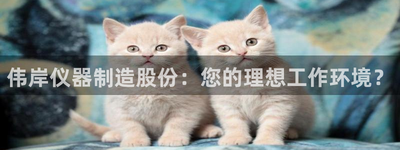 cq9传奇电子宙斯大奖：伟岸仪器制造股份：您的理想工作环境？