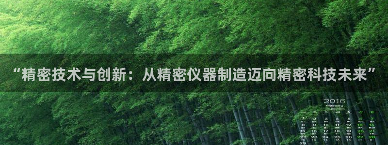 CQ9电子单手跳高高：“精密技术与创新：从精密仪器制造迈向精