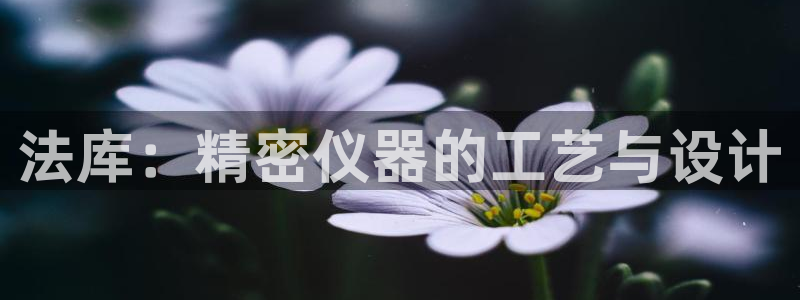 cq9电子平台入口：法库：精密仪器的工艺与设计