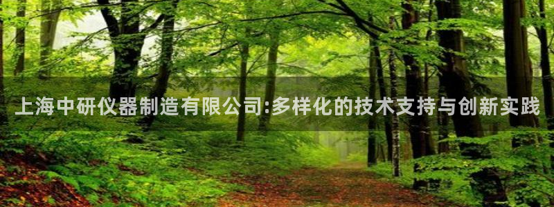 cq9电子投法：上海中研仪器制造有限公司:多样化的技术支持与