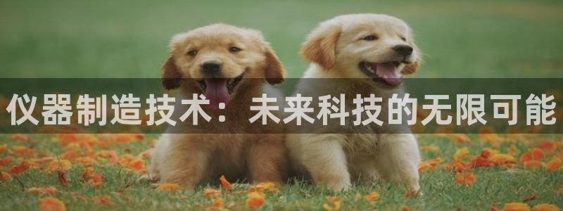 cq9电子雷神游戏：仪器制造技术：未来科技的无限可能