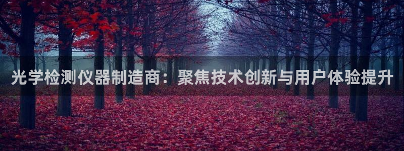 Cq9的电子图：光学检测仪器制造商：聚焦技术创新与用户体验提