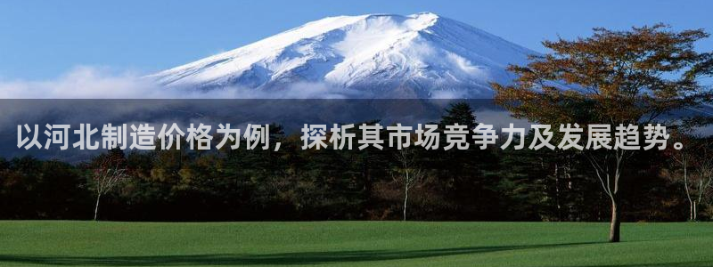 cq9电子游艺教程：以河北制造价格为例，探析其市场竞争力及发