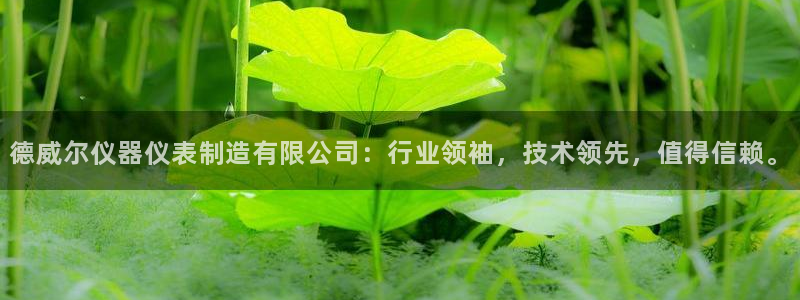 第一cq9电子：德威尔仪器仪表制造有限公司：行业领袖，技术领