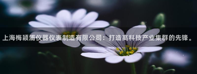 cq9电子跳高高2技巧：上海梅颖浦仪器仪表制造有限公司：打造