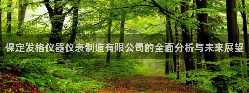 火凤凰cq9电子：保定发格仪器仪表制造有限公司的全面分析与未