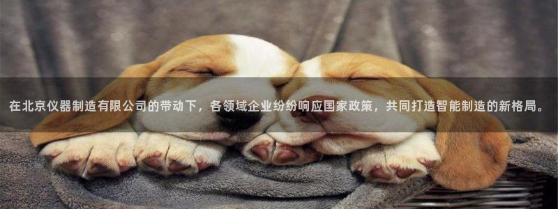 cq9电子试玩下载：在北京仪器制造有限公司的带动下，各领域企
