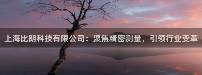 电子CQ9游戏网站：上海比朗科技有限公司：聚焦精密测量，引领