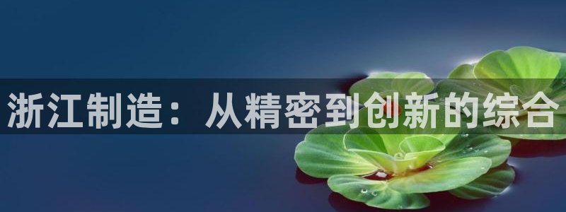 CQ9电子可以对刷：浙江制造：从精密到创新的综合