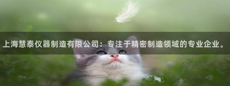 cq9电子登录：上海慧泰仪器制造有限公司：专注于精密制造领域