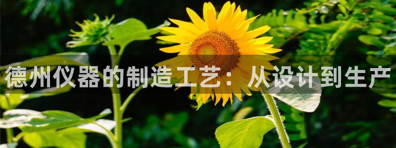 cq9电子评测：德州仪器的制造工艺：从设计到生产