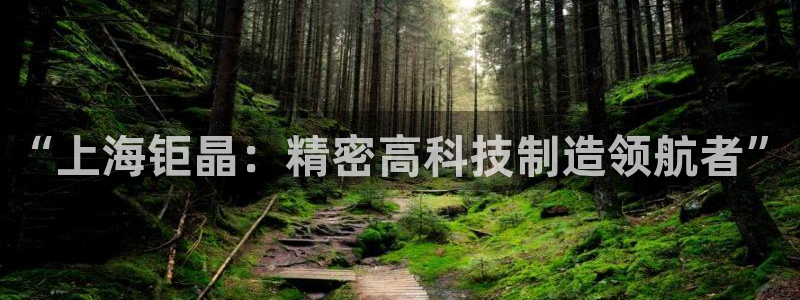 cq9电子游艺武圣：“上海钜晶：精密高科技制造领航者”