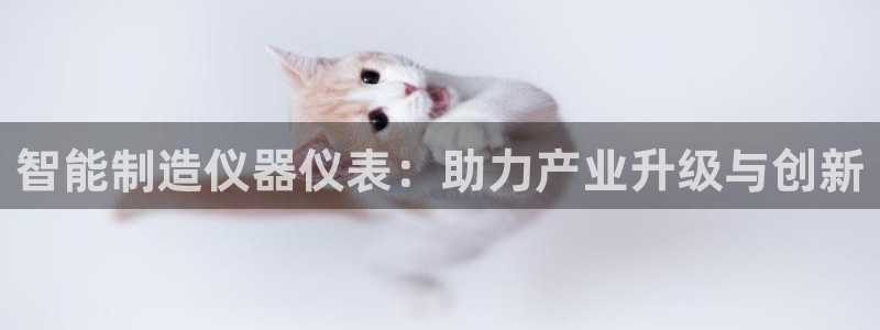 关于cq9电子加难程序：智能制造仪器仪表：助力产业升级与创新