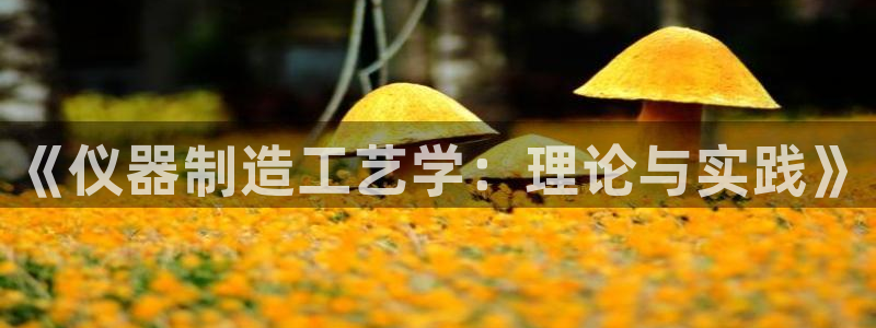 CQ9电子官网入c77