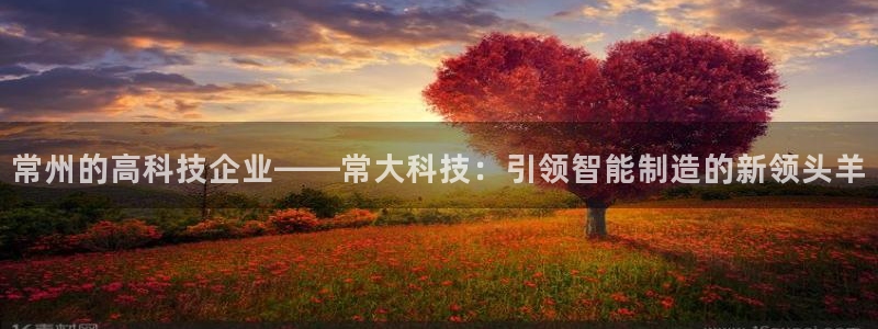 爆分电子cq9：常州的高科技企业——常大科技：引领智能制造的