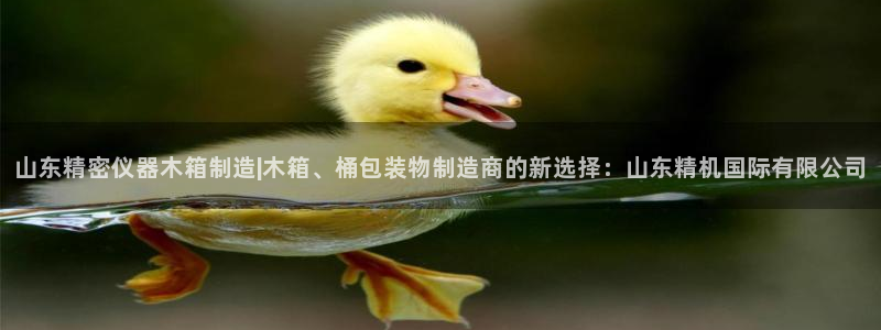 cq9电子大奖视频：山东精密仪器木箱制造|木箱、桶包装物制造