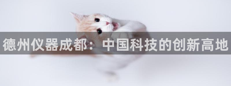 cq9电子游艺攻略：德州仪器成都：中国科技的创新高地