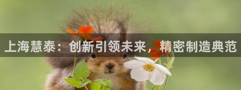 CQ9电子平CQ9电子平台：上海慧泰：创新引领未来，精密制造