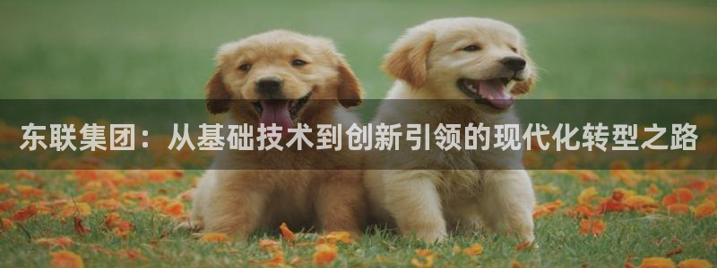 cq9电子 维护：东联集团：从基础技术到创新引领的现代化转型