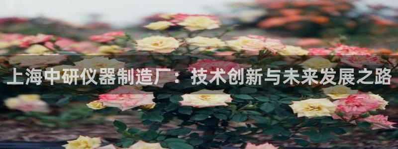 cq9电子测评：上海中研仪器制造厂：技术创新与未来发展之路