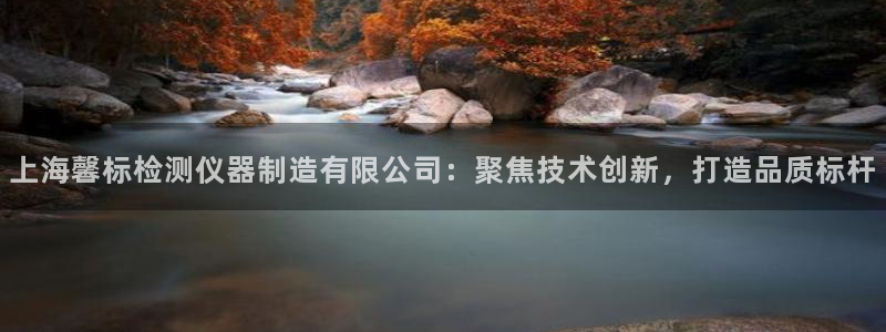 传奇电子cq9跳高高：上海馨标检测仪器制造有限公司：聚焦技术