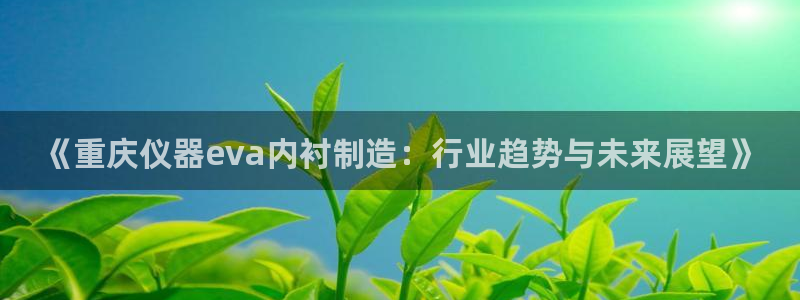 cq9传奇电子官网：《重庆仪器eva内衬制造：行业趋势与未来