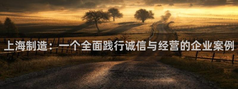 cq9电子bug：上海制造：一个全面践行诚信与经营的企业案例