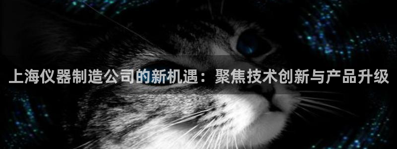 传说电子cq9：上海仪器制造公司的新机遇：聚焦技术创新与产品