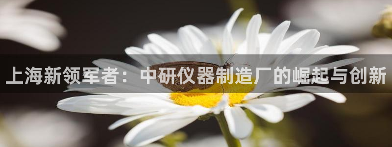 cq9传奇电子投注技巧：上海新领军者：中研仪器制造厂的崛起与