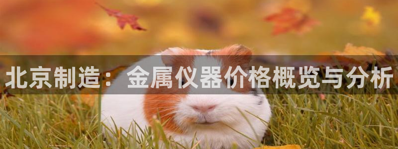 cq9电子正版平台：北京制造：金属仪器价格概览与分析