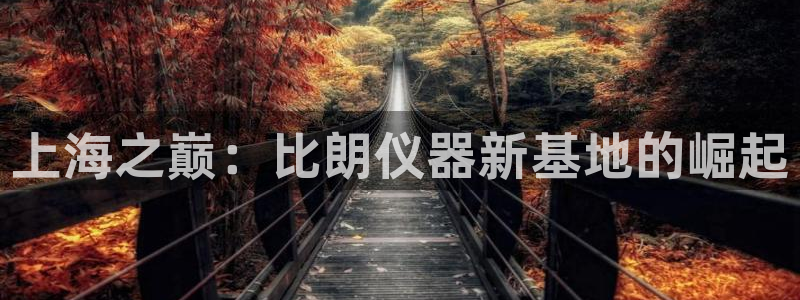 电子cq9跳起来：上海之巅：比朗仪器新基地的崛起