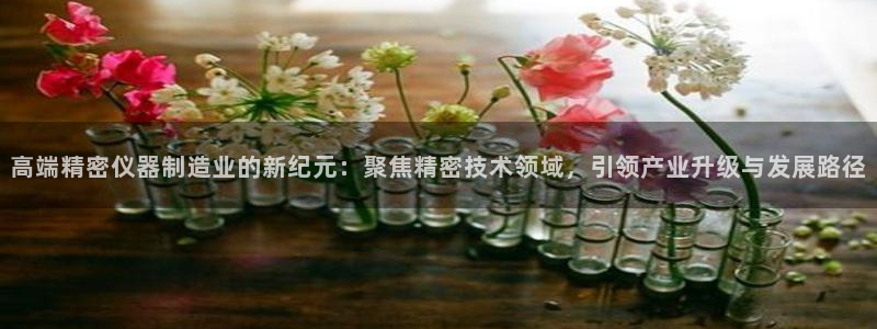 cq9电子发财神：高端精密仪器制造业的新纪元：聚焦精密技术领