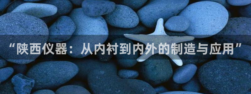 cq9电子负责人：“陕西仪器：从内衬到内外的制造与应用”
