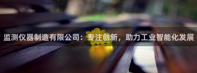 CQ9传奇电子在线：监测仪器制造有限公司：专注创新，助力工业