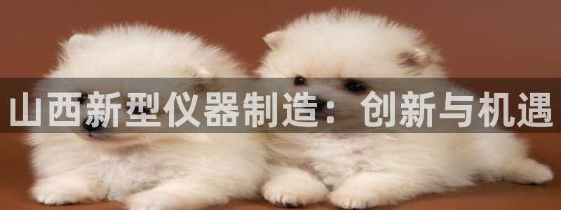 cq9电子客服：山西新型仪器制造：创新与机遇
