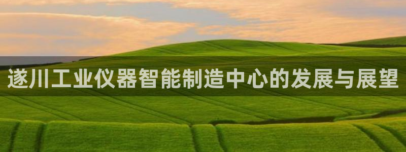 cq9电子有没有后台：遂川工业仪器智能制造中心的发展与展望