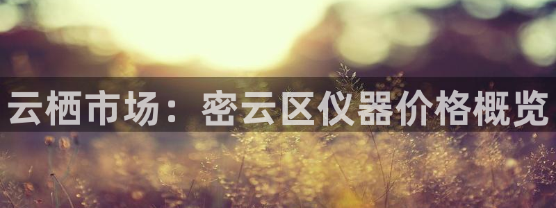 cq9电子真实吗：云栖市场：密云区仪器价格概览