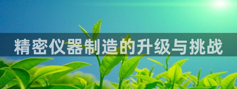 电子cq9武圣：精密仪器制造的升级与挑战