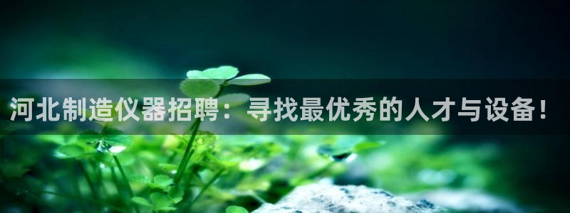 cq9电子花开富贵：河北制造仪器招聘：寻找最优秀的人才与设备
