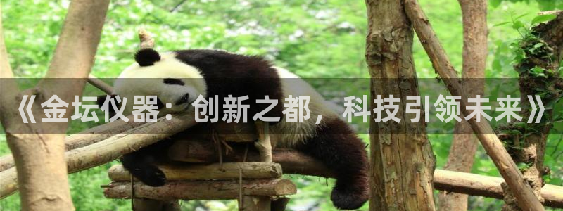 cq9电子登陆：《金坛仪器：创新之都，科技引领未来》
