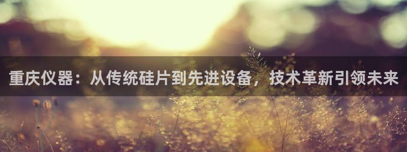 cq9电子怎么样：重庆仪器：从传统硅片到先进设备，技术革新引