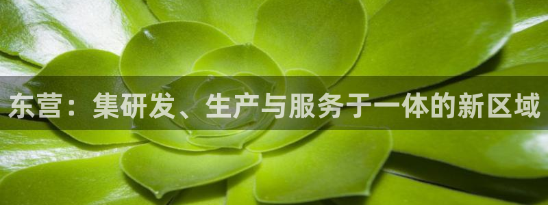 cq9传奇电子下载：东营：集研发、生产与服务于一体的新区域