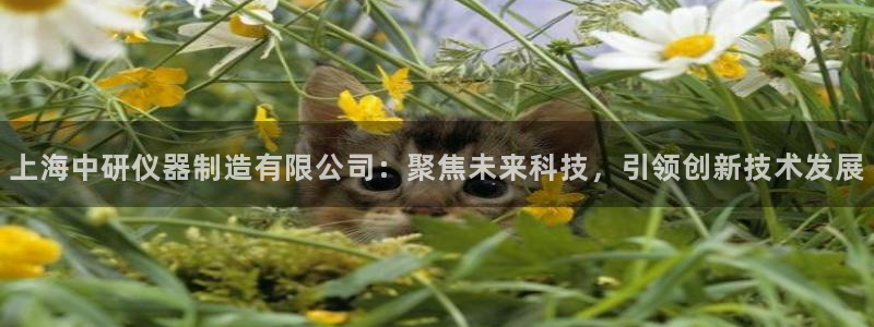 电子cq9什么意思：上海中研仪器制造有限公司：聚焦未来科技，