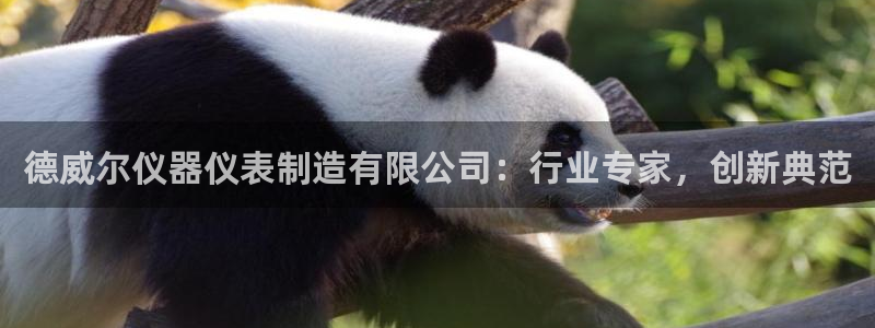 cq9新电子传奇：德威尔仪器仪表制造有限公司：行业专家，创新