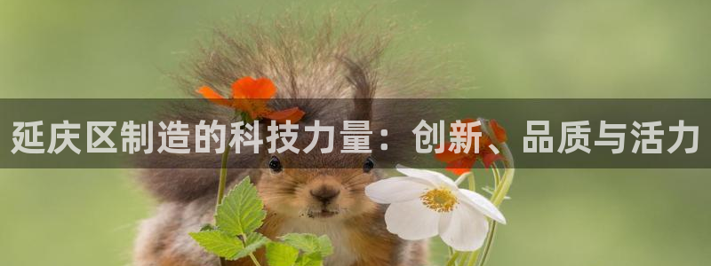 cq9电子游艺辅助器：延庆区制造的科技力量：创新、品质与活力