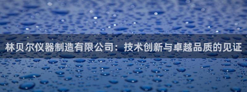 cq9电子平台入口：林贝尔仪器制造有限公司：技术创新与卓越品